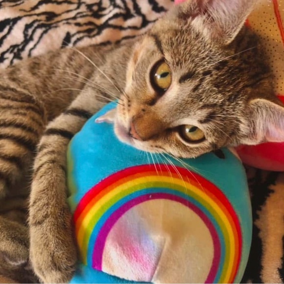 Meet your Posher, Jacq🌸 - Picture 3 of 3